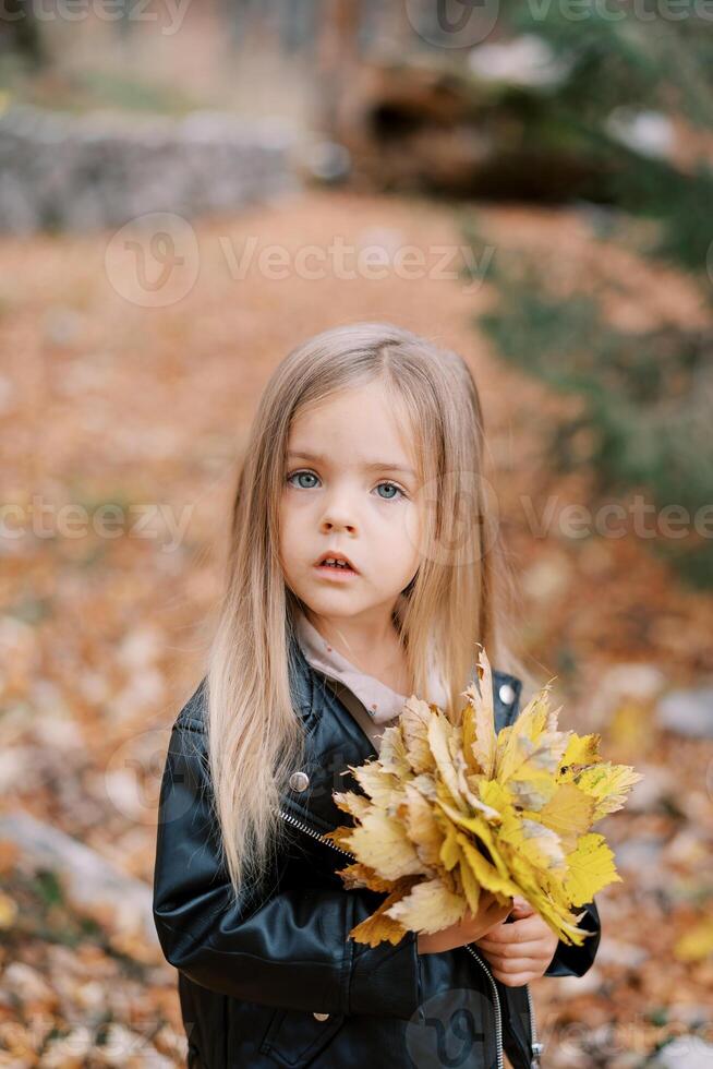 pequeño sorprendido niña con un ramo de flores de amarillo hojas soportes en el otoño parque foto