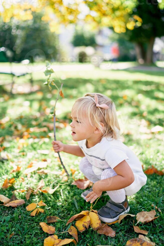 Little girl is squatting on a green lawn with a tree branch in her hand photo