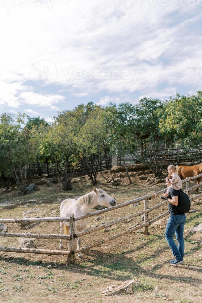 Dad with a little girl on his shoulders stands near a wooden fence of a corral with horses photo