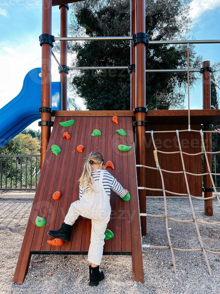 pequeño niña sube el alpinismo pared en el patio de juegos. espalda ver foto