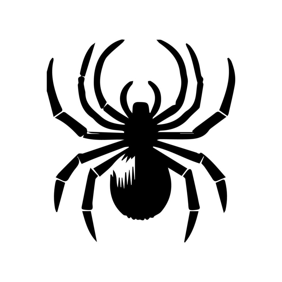 art danger spider black white tattoo element vector template animal