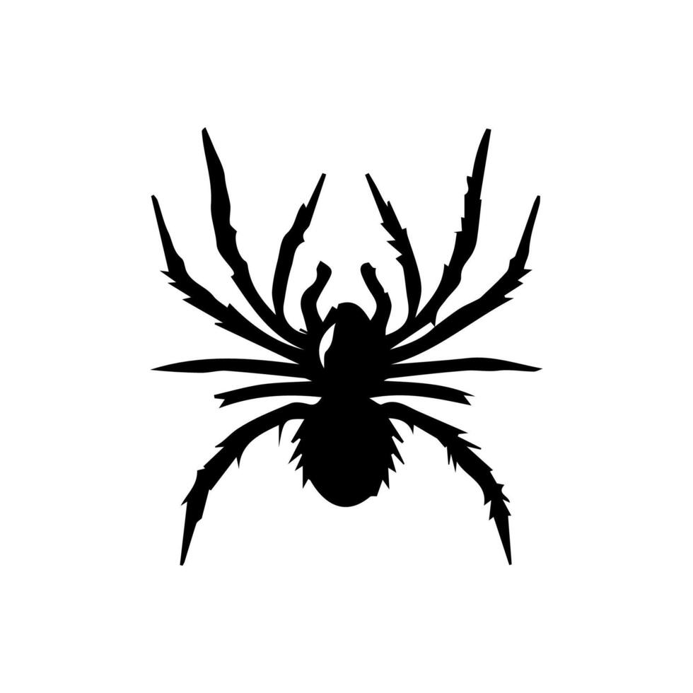 art danger spider black white tattoo element vector template animal