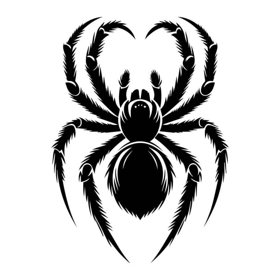 art danger spider black white tattoo element vector template animal