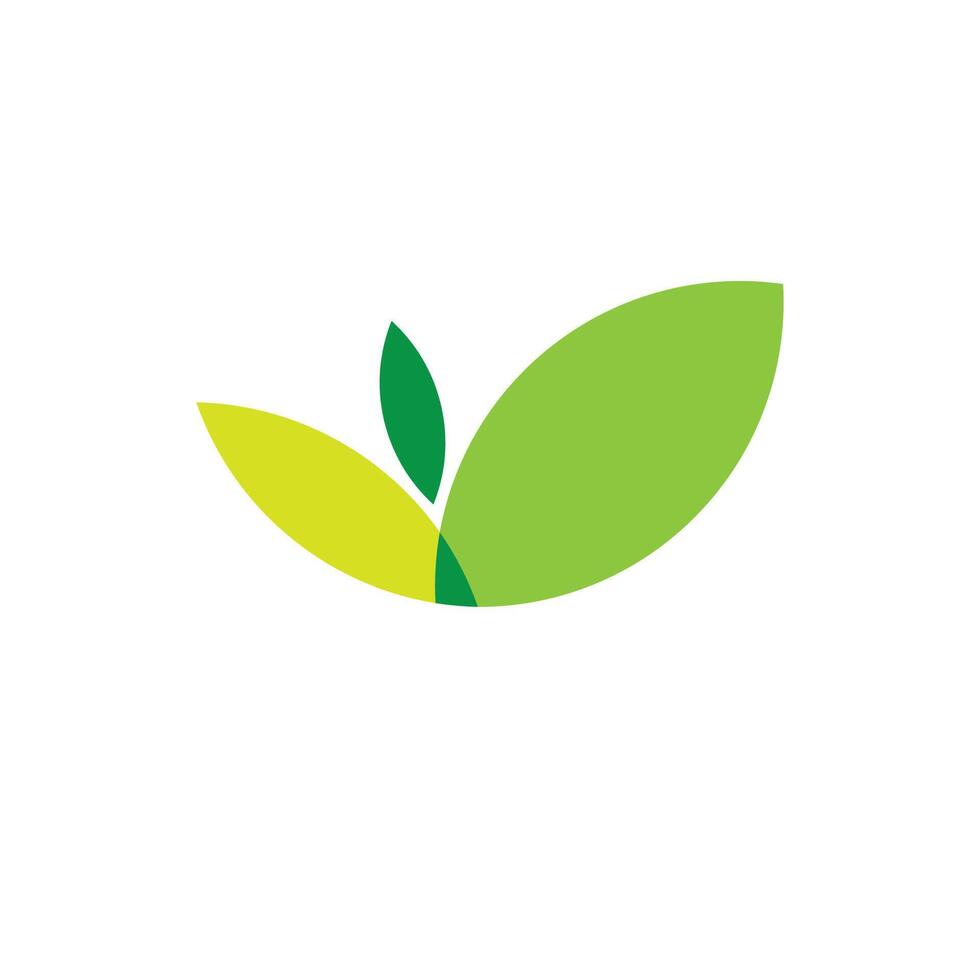 sencillo verde hoja logo vector diseño