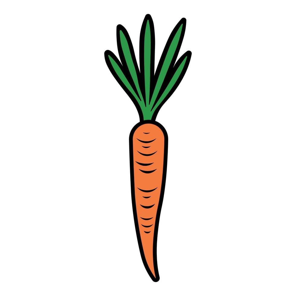 vector Zanahoria icono aislado en blanco antecedentes