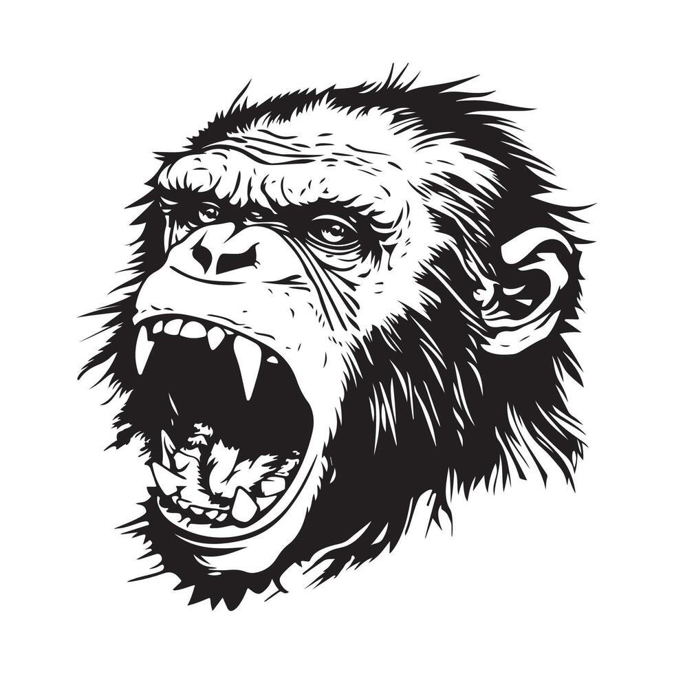 enojado mono cabeza valores vector imagen y Arte