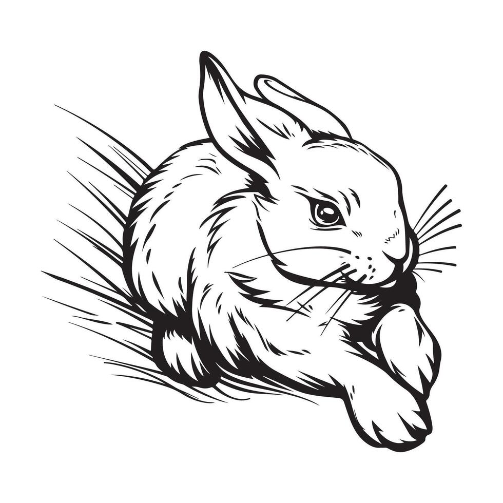 Rabbit Run Vector Art, Icons, and Graphics