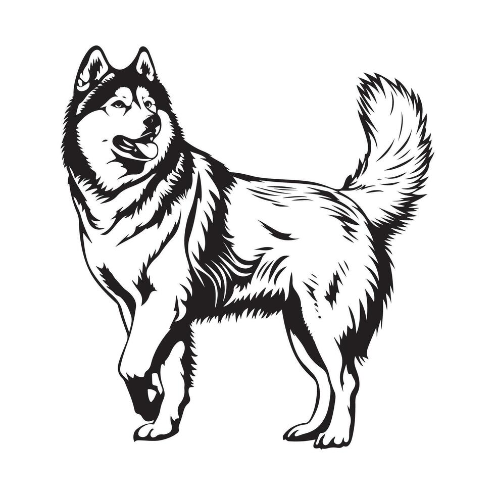 Alaska malamute perro imagen aislado blanco antecedentes valores vector