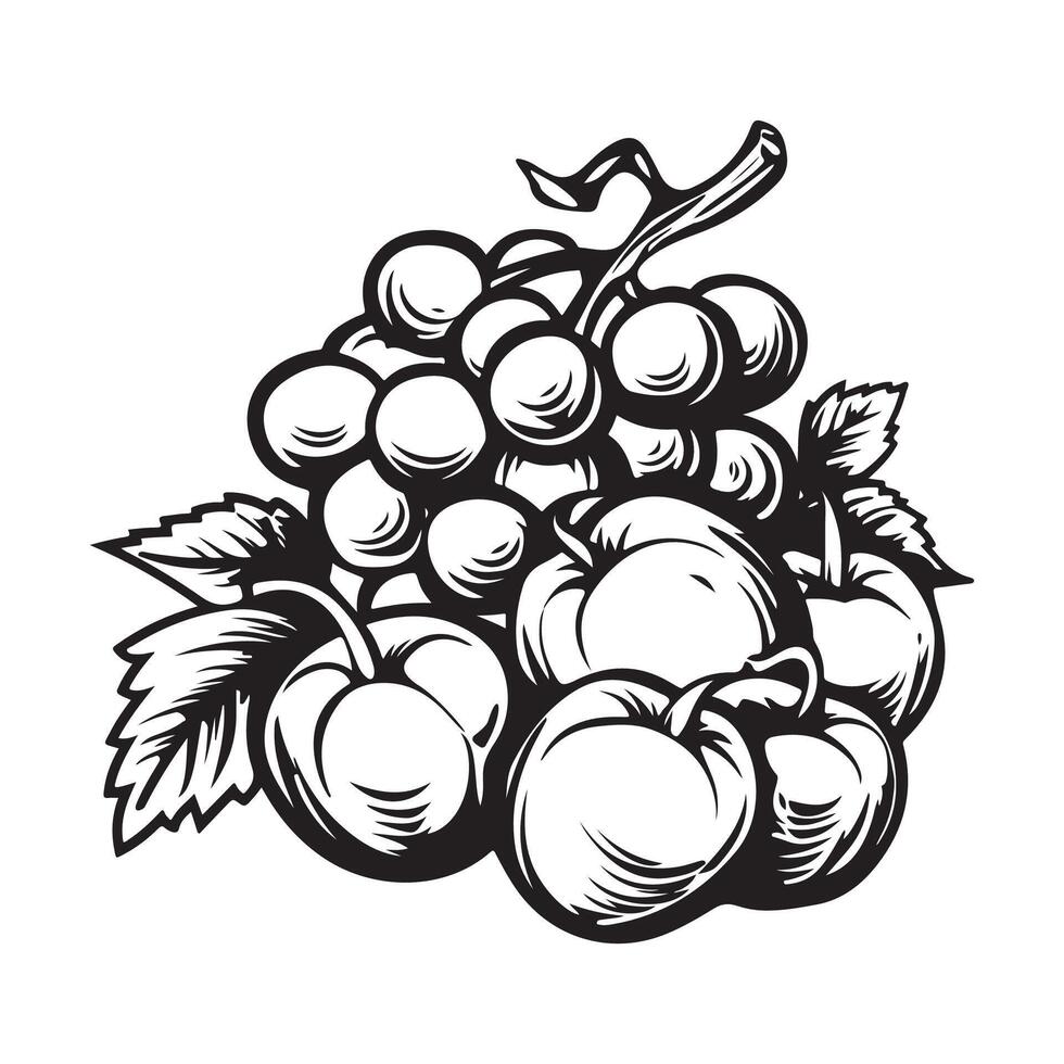 Fruit Black And White Vector Art, Icons, and Graphics