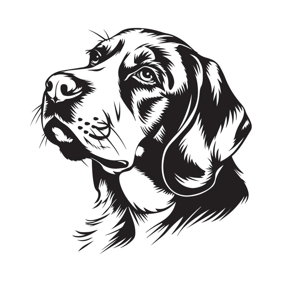 Beagle Head Vector Images