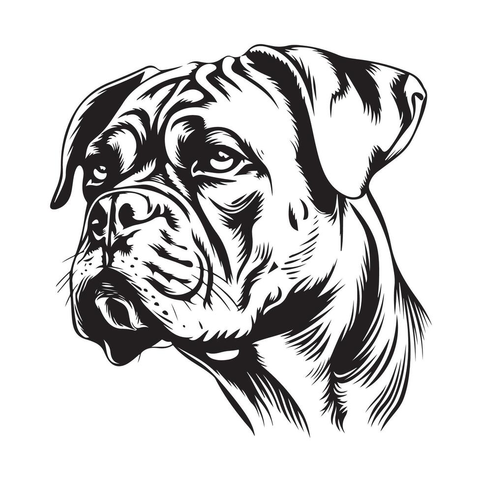 Boxer Dog Head Vector Art and  Graphics