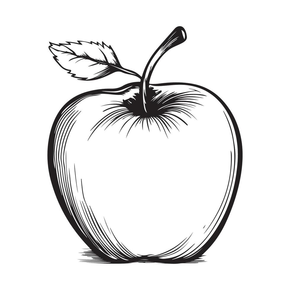 manzana ilustración imágenes vector, icono, Arte vector