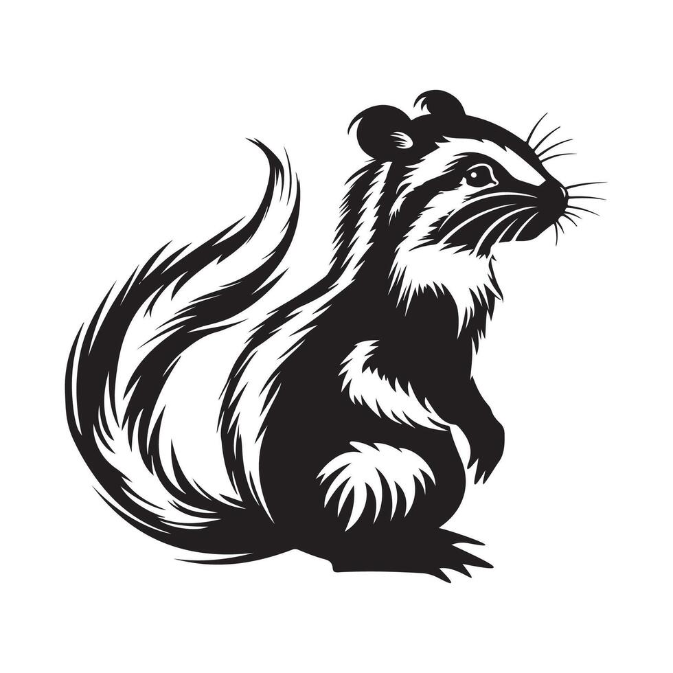 squirrel black white isolated on white background vector