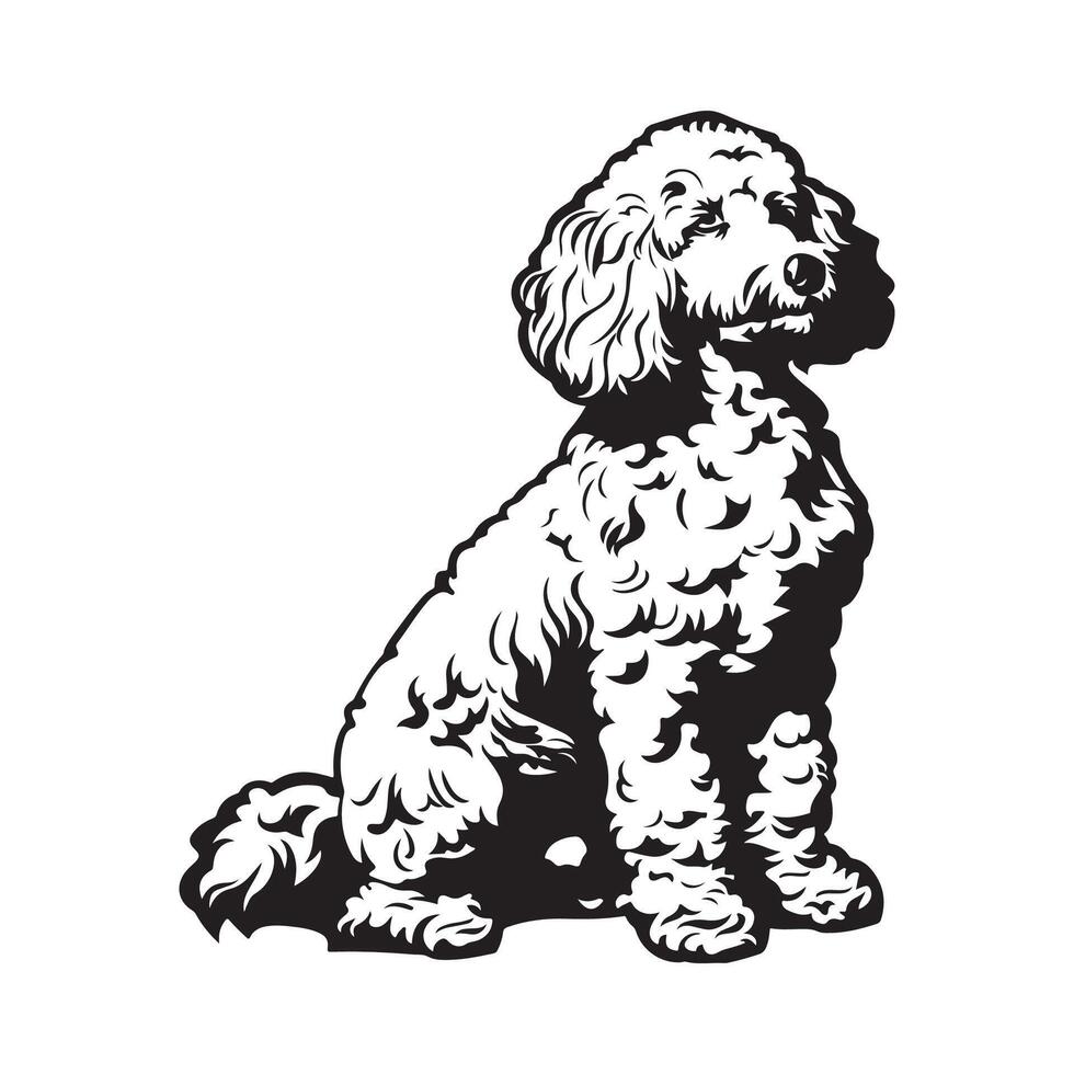 Poodle Dog Vector Art, Icons, and Graphics