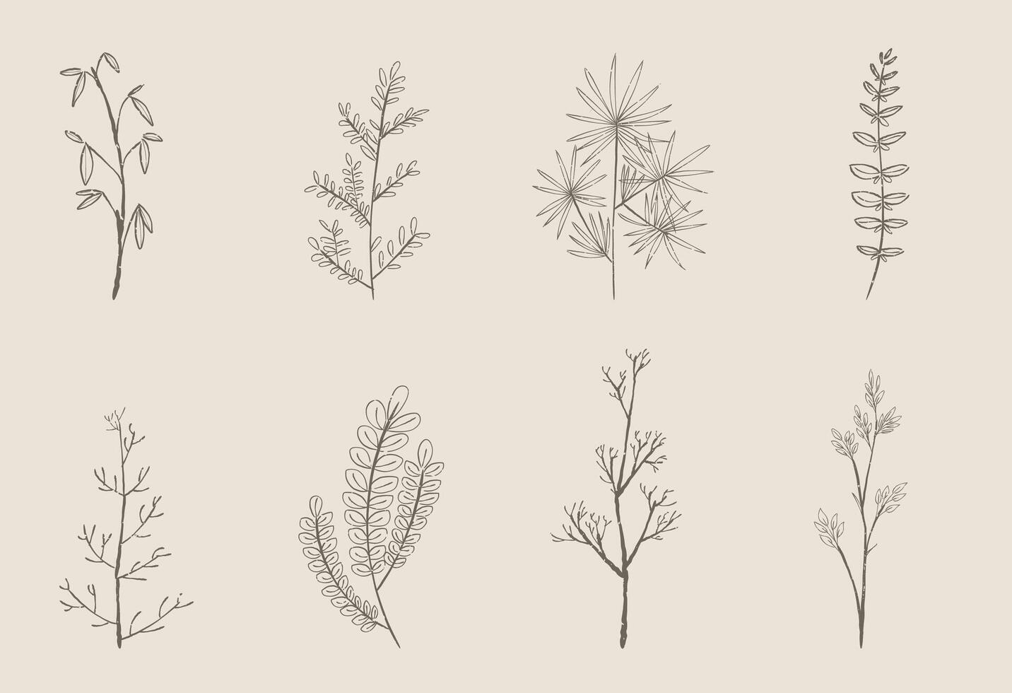 Set of trendy wildflowers and minimalist flowers for logo or decorations. Hand drawn line wedding herb, elegant leaves for invitation save the date card. Botanical rustic trendy greenery vector