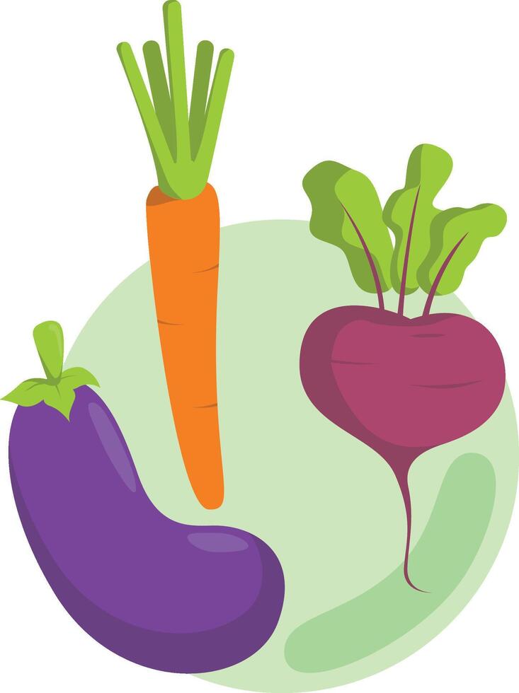 Vegetables carrot eggplant beet fruit vector