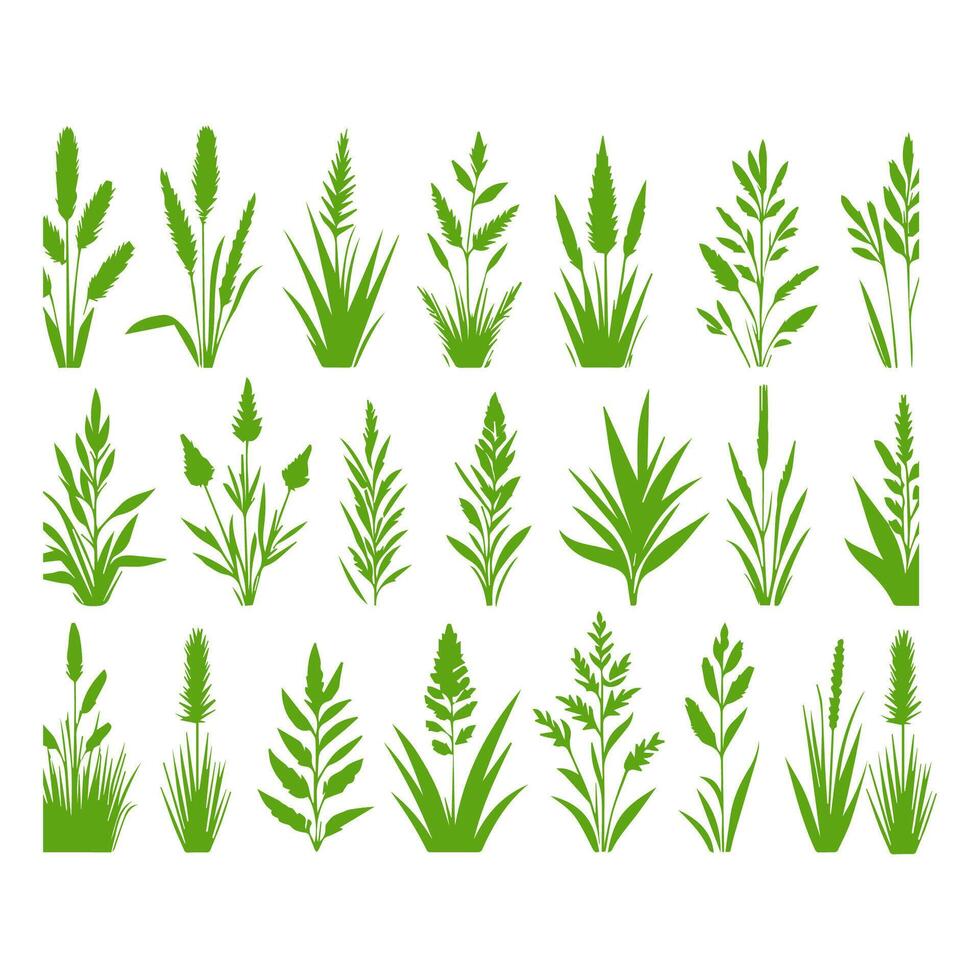 Vector green grass natural, organic, bio, eco label and shape on white background.
