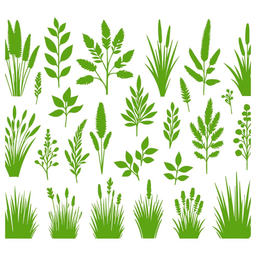 Vector green grass natural, organic, bio, eco label and shape on white background.