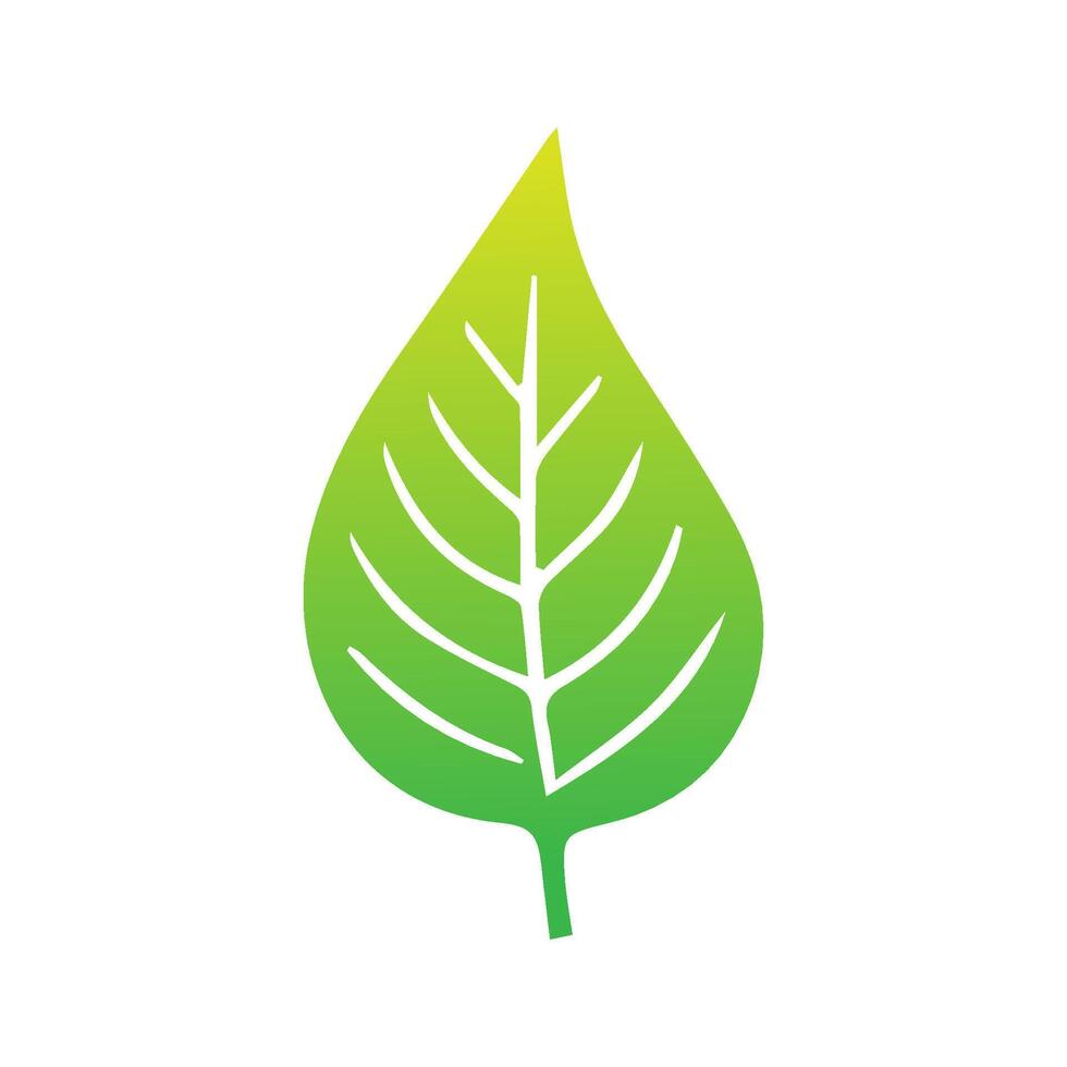 Green leaf icon. Leaves icon on isolated background. Collection green leaf. Elements design for natural, eco, vegan, bio labels. Vector illustration