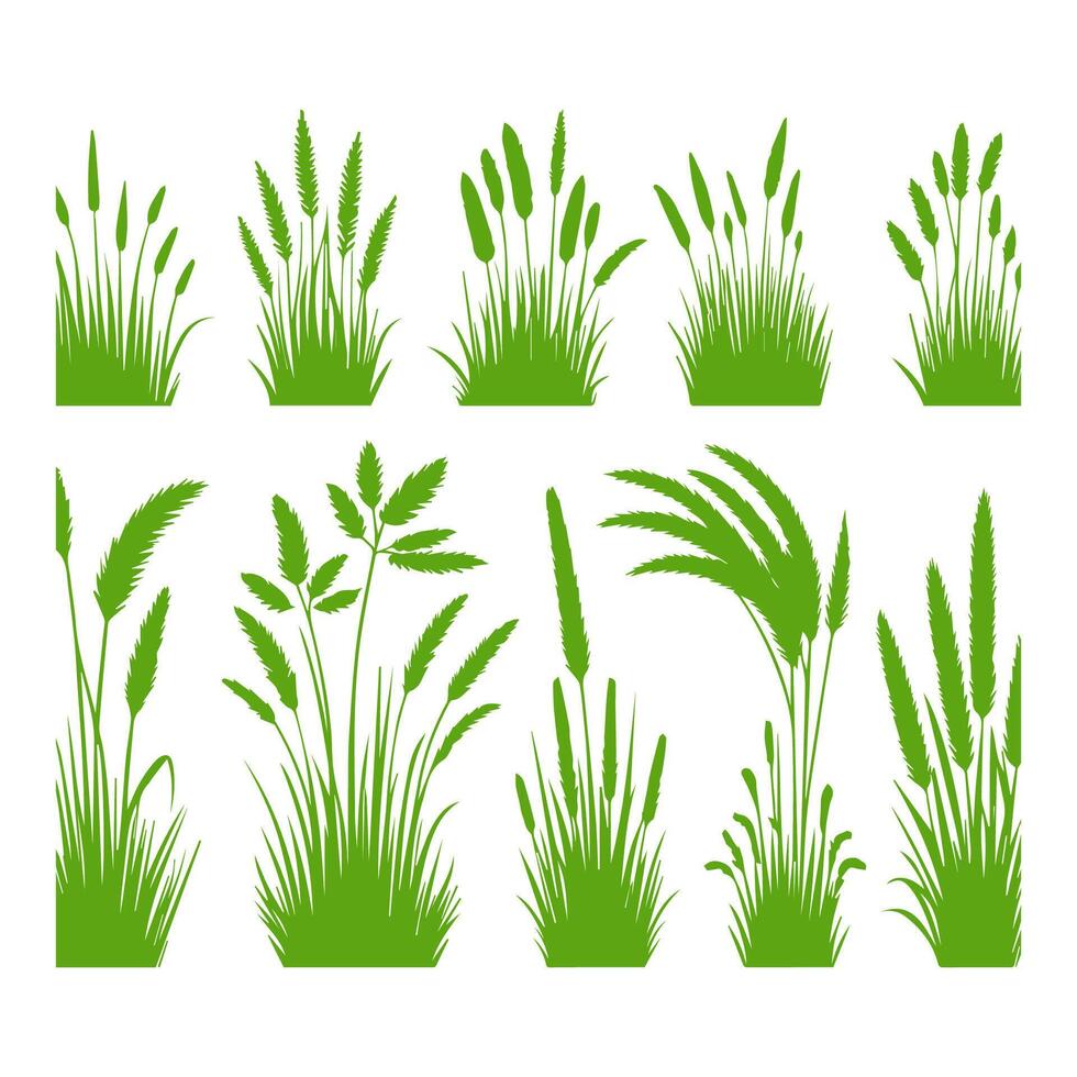 Vector green grass natural, organic, bio, eco label and shape on white background.