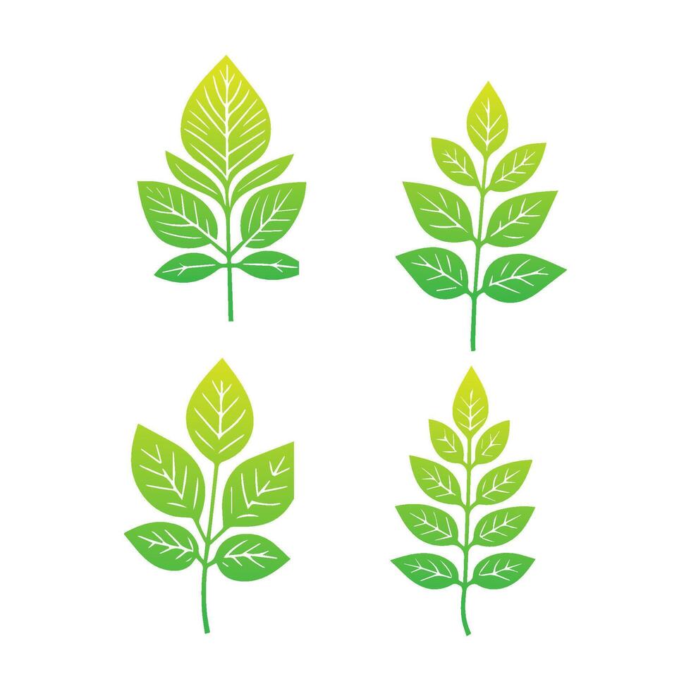 Green leaf icon. Leaves icon on isolated background. Collection green leaf. Elements design for natural, eco, vegan, bio labels. Vector illustration