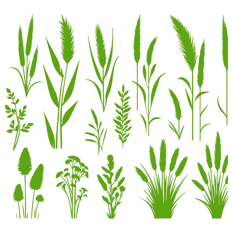 Vector green grass natural, organic, bio, eco label and shape on white background.
