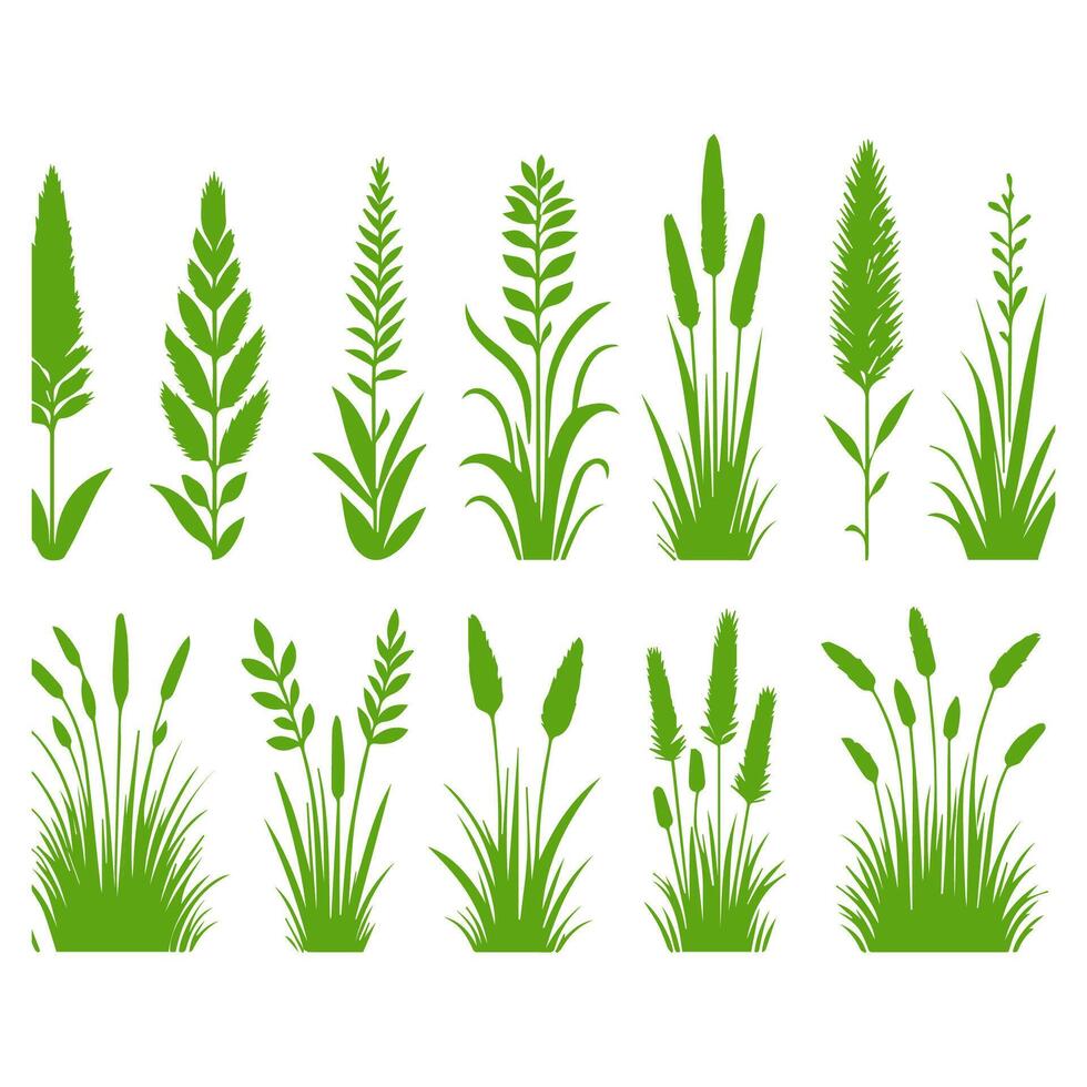 Vector green grass natural, organic, bio, eco label and shape on white background.