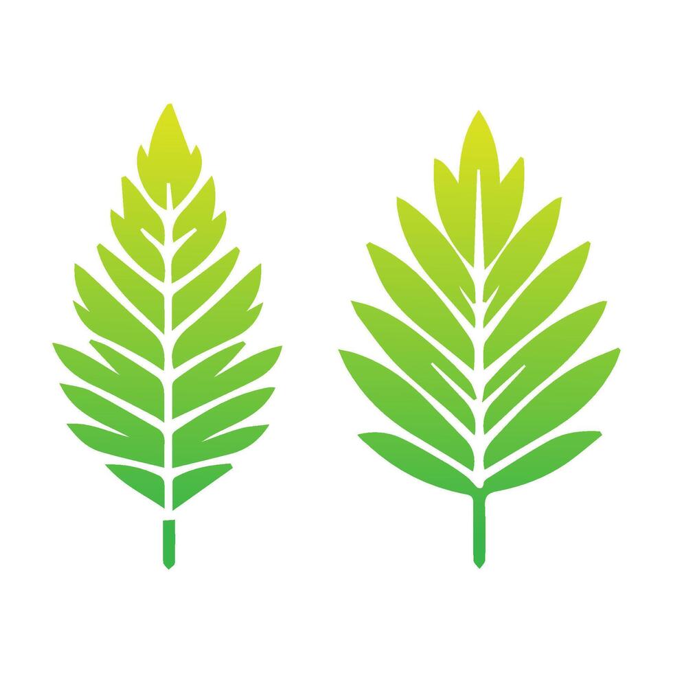 Green leaf icon. Leaves icon on isolated background. Collection green leaf. Elements design for natural, eco, vegan, bio labels. Vector illustration
