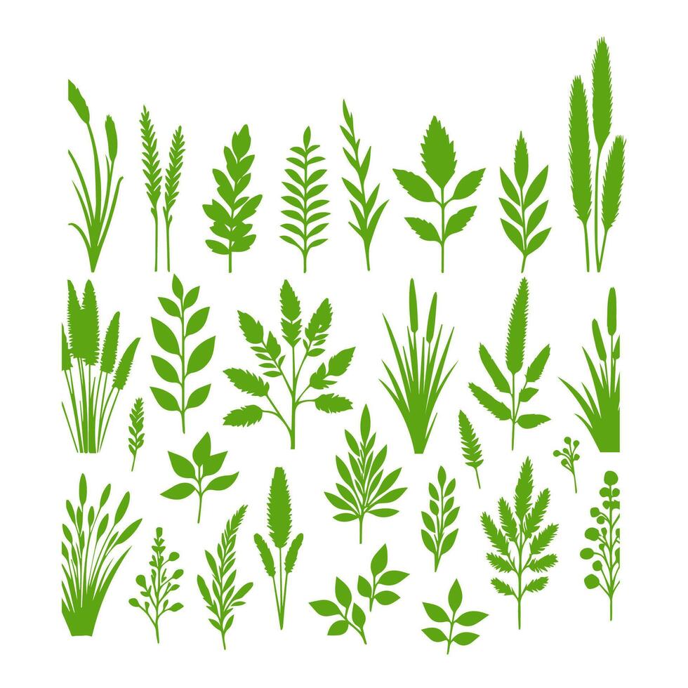 hierba verde vectorial natural, orgánica, bio, etiqueta ecológica y forma sobre fondo blanco. vector