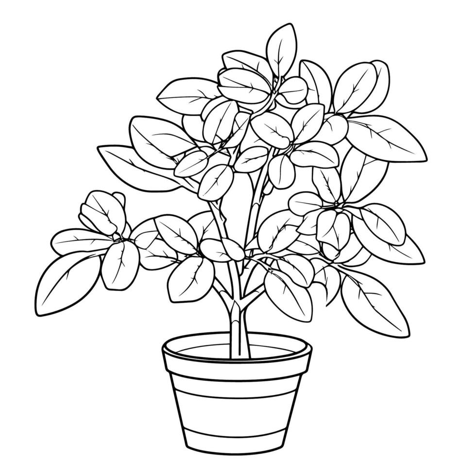 Graceful bean plant outline icon in vector format for agricultural designs.