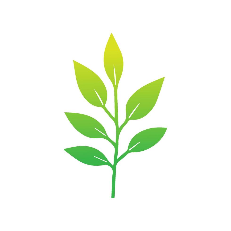 verde hoja icono. hojas icono en aislado antecedentes. colección verde hoja. elementos diseño para natural, ecológico, vegano, bio etiquetas. vector ilustración