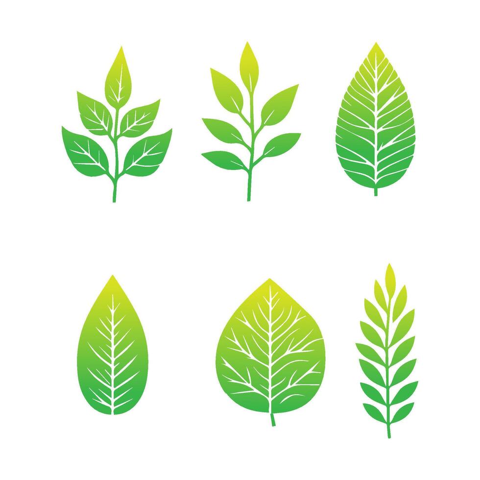 Green leaf icon. Leaves icon on isolated background. Collection green leaf. Elements design for natural, eco, vegan, bio labels. Vector illustration