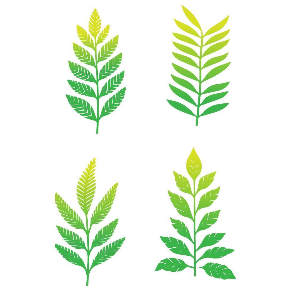 Green leaf icon. Leaves icon on isolated background. Collection green leaf. Elements design for natural, eco, vegan, bio labels. Vector illustration