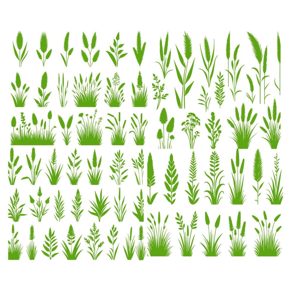 Vector green grass natural, organic, bio, eco label and shape on white background.