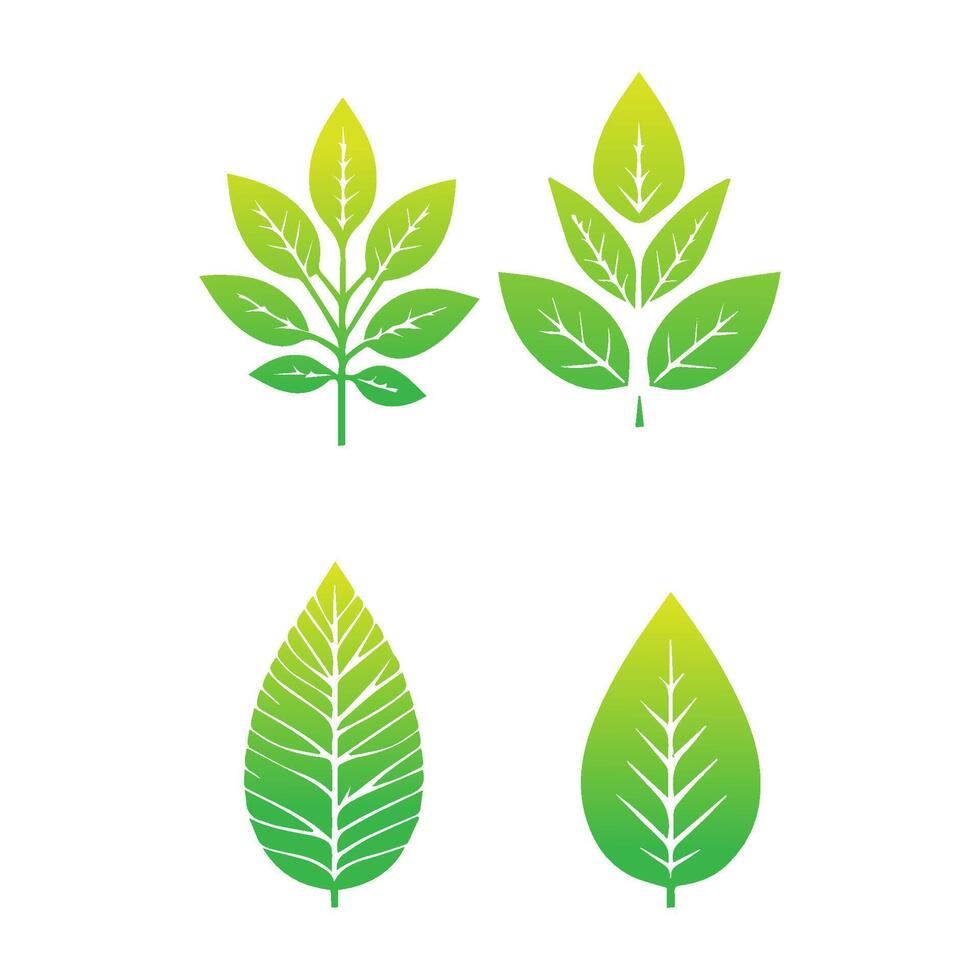 Green leaf icon. Leaves icon on isolated background. Collection green leaf. Elements design for natural, eco, vegan, bio labels. Vector illustration