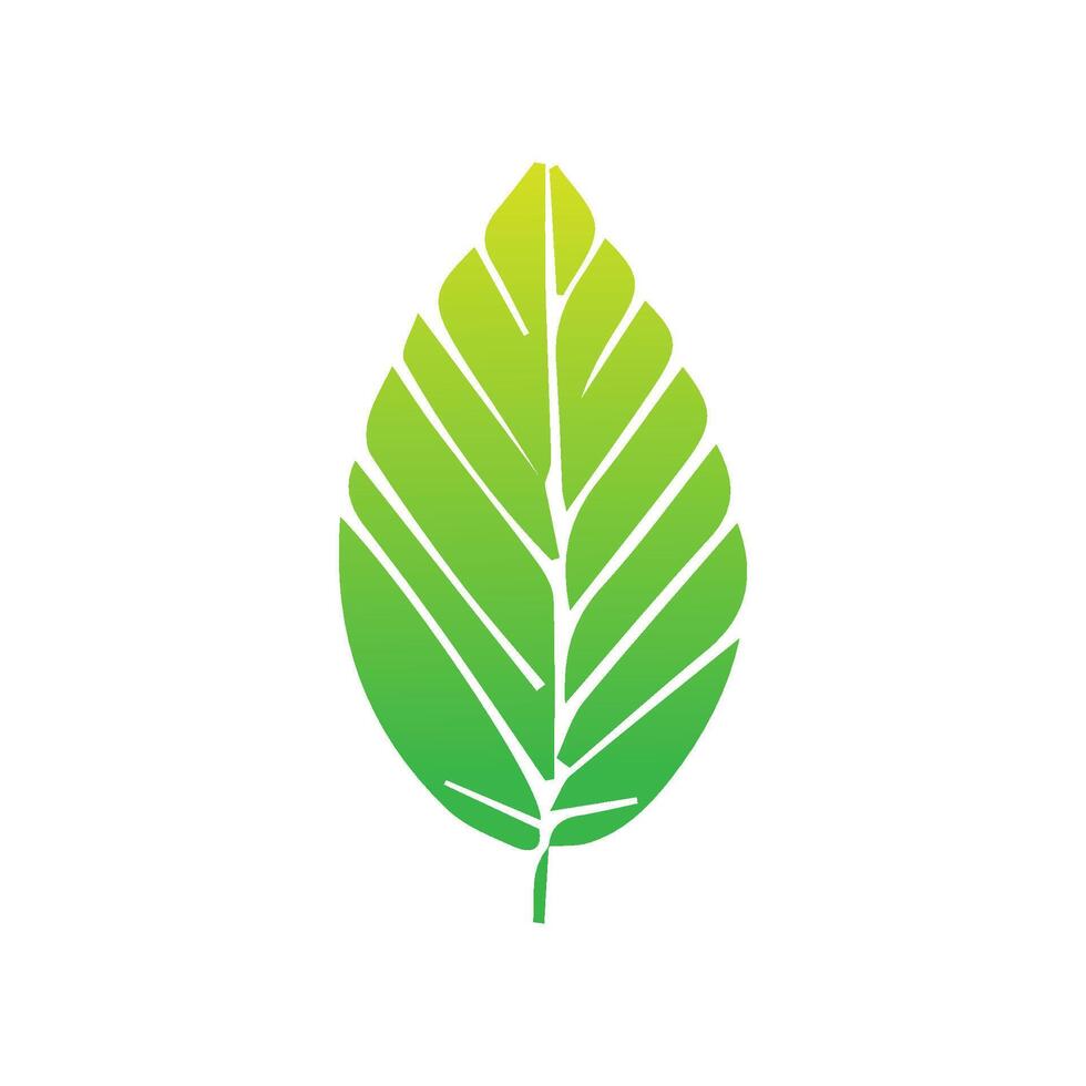 Green leaf icon. Leaves icon on isolated background. Collection green leaf. Elements design for natural, eco, vegan, bio labels. Vector illustration