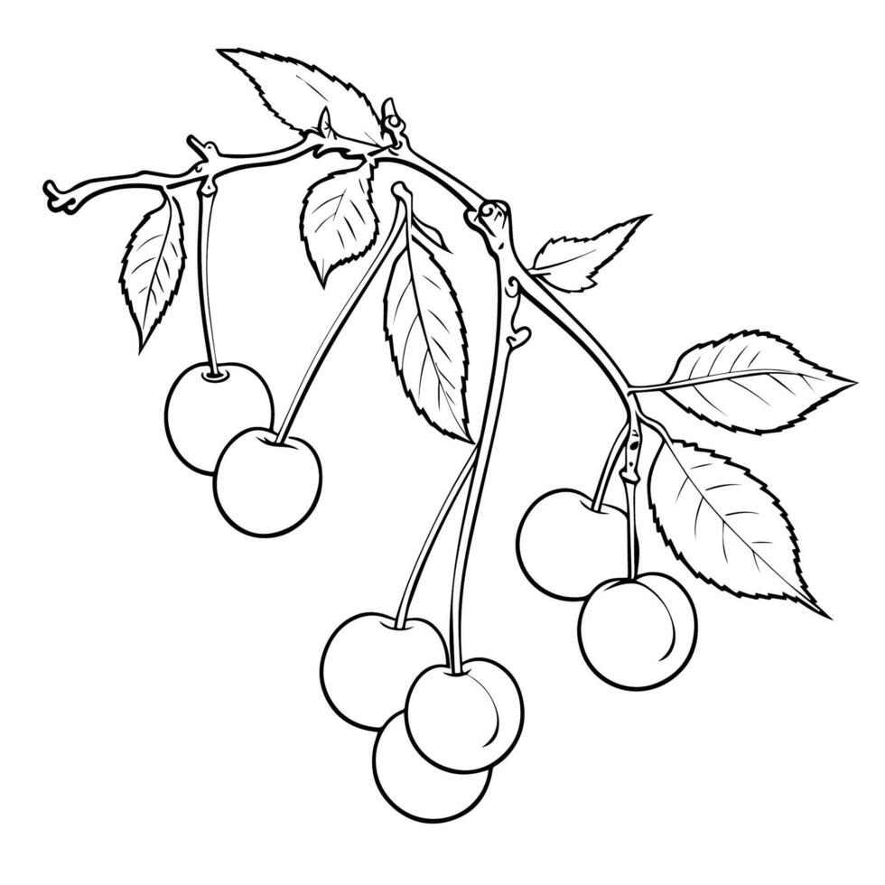 Simple vector outline of a cherry icon for versatile use.