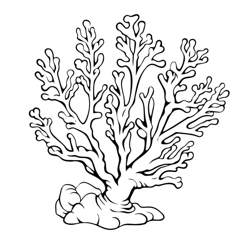 Delicate coral outline icon in vector format for marine designs.