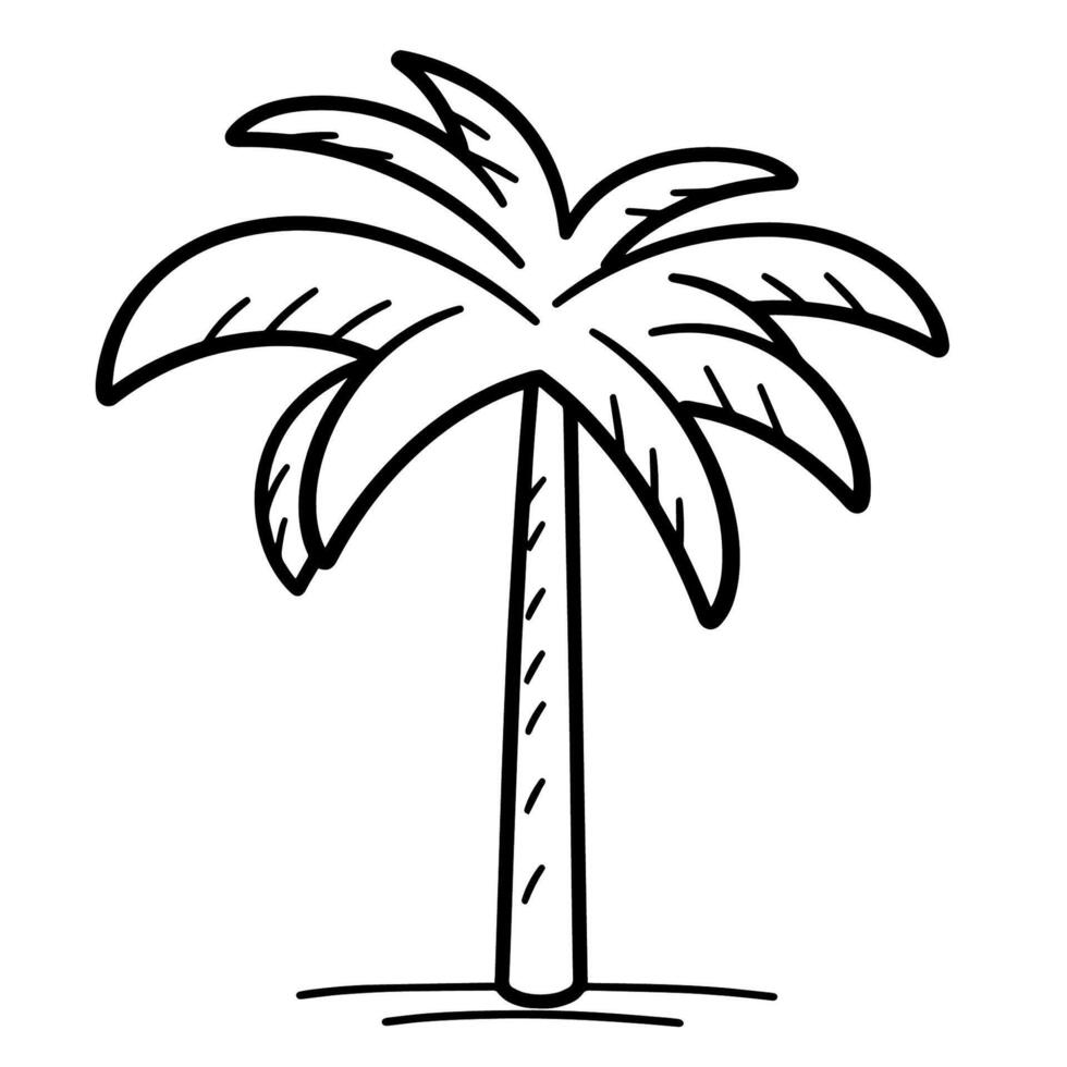 Graceful coconut tree outline icon in vector format for tropical designs.