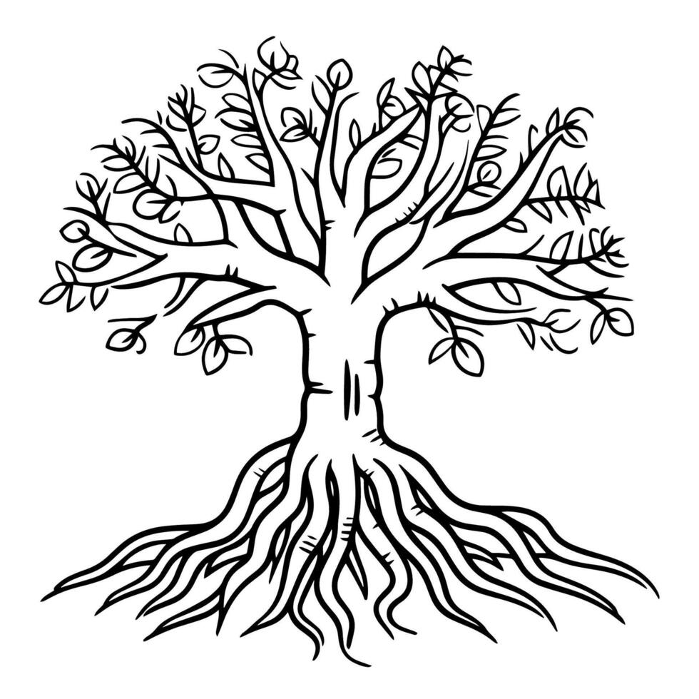 Root of the tree outline icon in vector format for botanical designs.