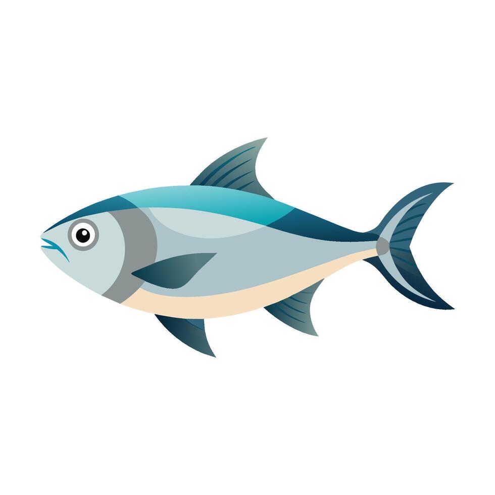 Hilsa fish isolated flat vector illustration on white background.