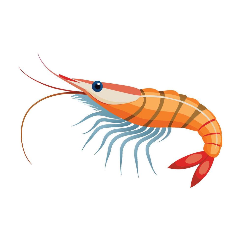 Prawn fish isolated flat vector illustration on white background