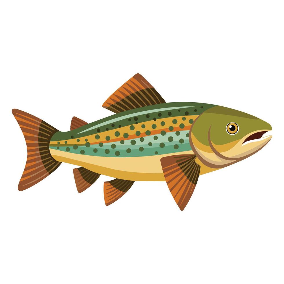 Trout fish isolated flat vector illustration on white background.