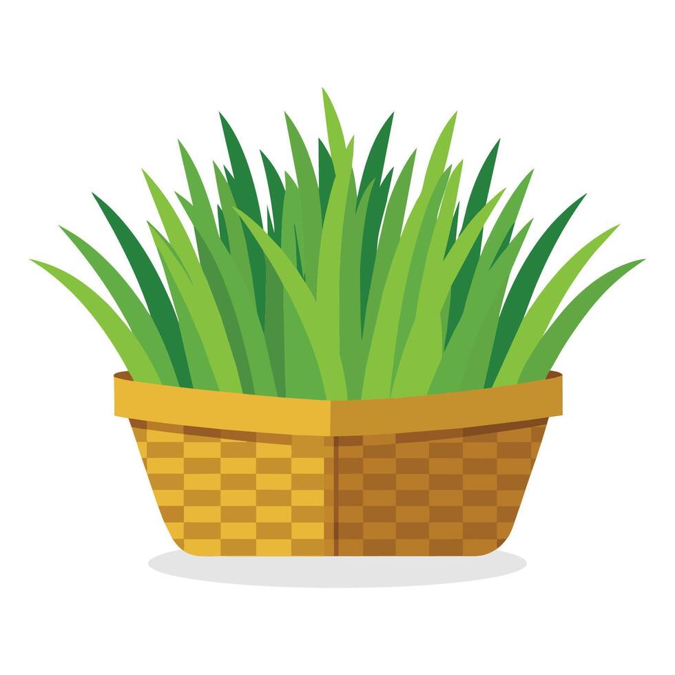 Chives in busket Green Leafy Vegetables vector illustration