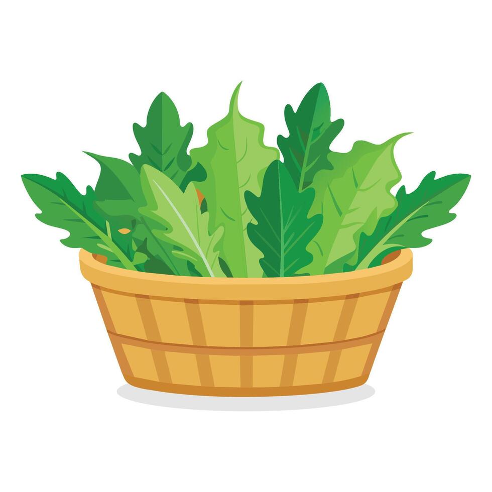 Collard greens in busket Green Leafy Vegetables vector illustration