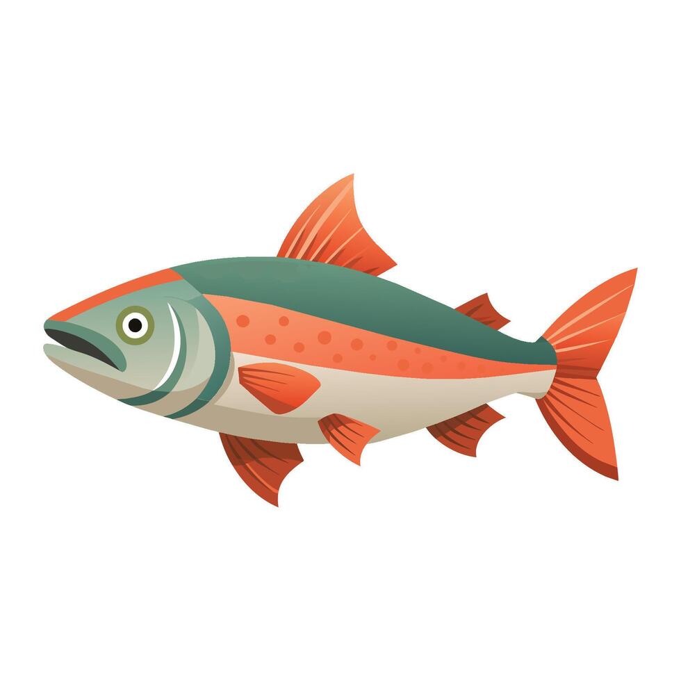 Salmon fish isolated flat vector illustration on white background.