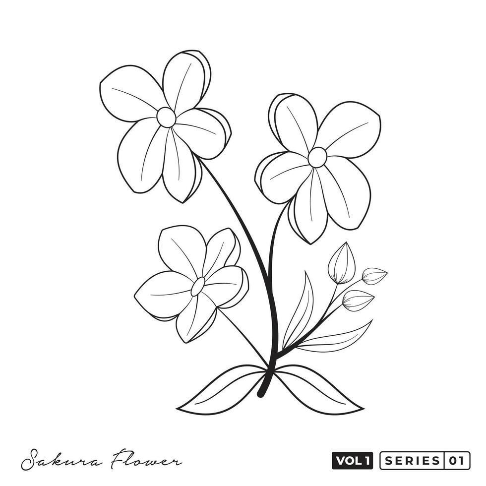 Sakura Flowers Vector Design. Japanese Sakura Blossom