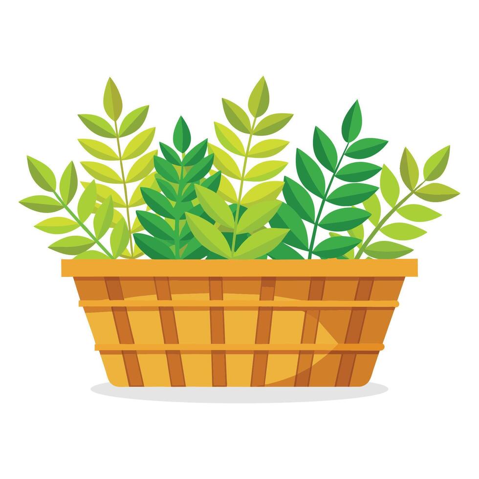 curry hojas en busket verde frondoso vegetales vector ilustración