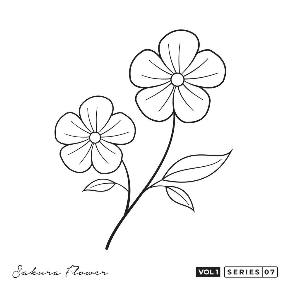 a flower coloring page with a single flower. Sakura Flowers Line Art Vector Design