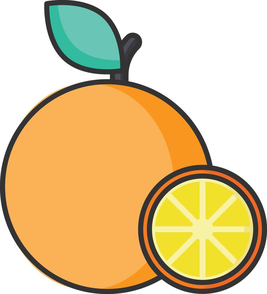 orange fruit vector illustration